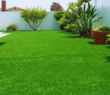 Decorative-grass-carpet